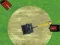 Spill Shoot Battle online