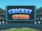Spill Cricket Craze online