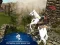 Spill Ertugrul Gazi Horse Sim online