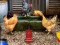 Spill Poultry Farm Easter Escape online