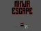 Spill Ninja escape online