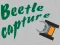 Spill Beetle Capture online