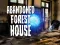 Spill Abandoned Forest House online