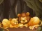 Spill Fun Zoo Animals Jigsaw online