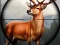 Spill Animal Safari Hunter 2020 online