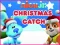 Spill Nick Jr. Christmas Catch online