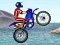 Spill FMX team online