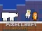 Spill PixelCraft Animal School online