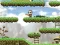 Spill Maple story online