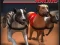 Spill Greyhound Racing online