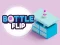 Spill Bottle Flip online