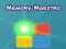 Spill Memory Maestro online