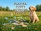 Spill Playful Puppy Outdoor Puzzle online