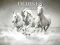 Spill Horses Puzzle online