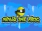 Spill Ninja the Frog online
