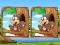 Spill Jungle 5 Diffs online