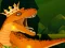 Spill The Dino King online