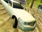 Spill Limousine Driver online
