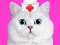 Spill Cat Pet Doctor Dentist online