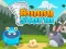 Spill Bunny Storm online