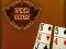 Spill Spider Solitaire online