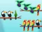 Spill Bird Sort Challenges online