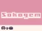 Spill Sokogem online