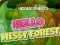 Spill Hidden Objects Hello Messy Forest online