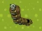 Spill Zombie Worms online