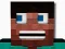 Spill Block Craft Survival online