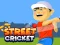 Spill Street Cricket online