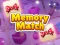Spill Memory Match online