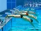 Spill Swimming Pool Race online