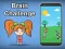 Spill Brain Challenge online