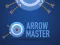 Spill Arrow Master online