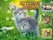 Spill Kittens Jigsaw online