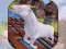 Spill Angry Goat Wild Animal Rampage online
