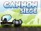 Spill Cannon Siege online