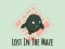 Spill Lost In The Maze online