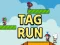 Spill Tag Run online