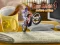 Spill Bike Mania 4 Micro Office online