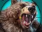 Spill Wild Bear Hunting online