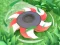 Spill Cut Grass online