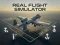 Spill Real Flight Simulator online