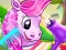 Spill Pony Pet Salon online