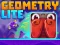 Spill Geometry Lite online