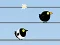 Spill Gone with the Birds online