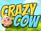 Spill Crazy Cow online
