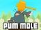 Spill Pum-Mole online