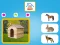 Spill Who Lives Here online